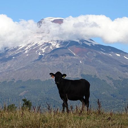 La Posada Del Colono Puerto Clocker Dış mekan fotoğraf